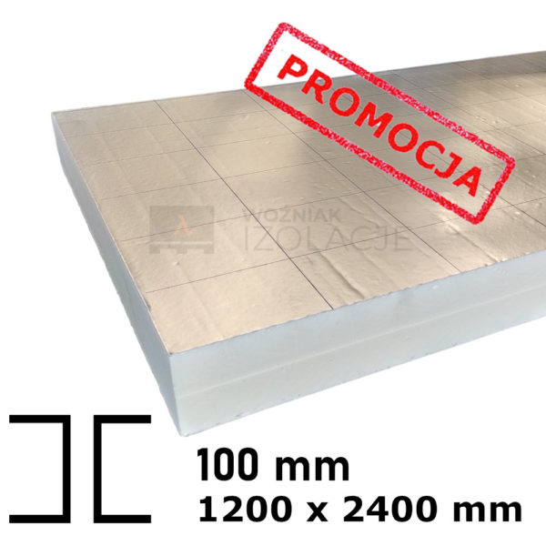 PIR al fit 100 PROMOCJA